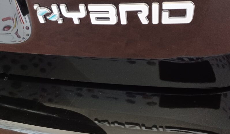FIAT Panda 1.0 Hybrid pieno